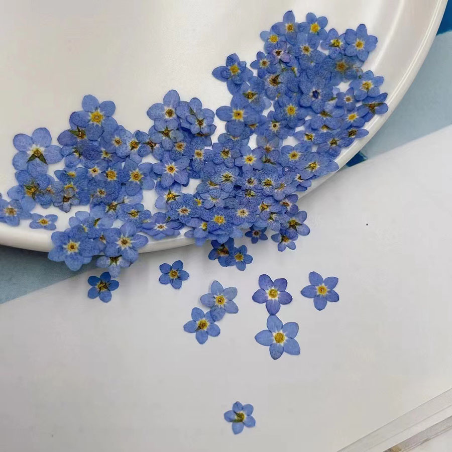 60 قطعة من الزهور المجففة الصغ - مراجعة Resin Art Case وسعره