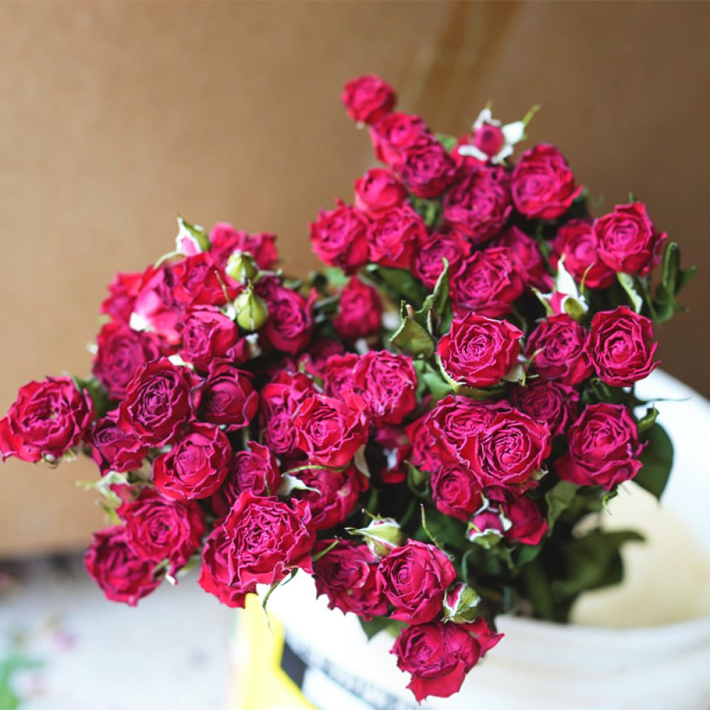 باقة من زهور الورد المجففة الط - مراجعة Resin Art Rose وسعره